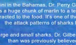Attack Patterns of Sharks