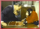 Mr. Wizard Plays Checkers with A Chimp