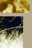 Mr. Wizard Close Ups